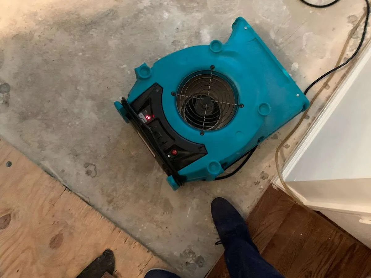 Air mover drying subfloor during Commercial Water Damage Restoration in Taft